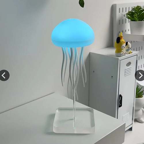 عروس دریایی